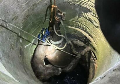 Bomberos de Sabinas rescatan potranca atrapada en noria profunda nocturna