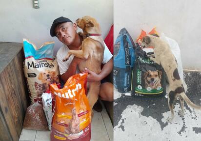 “Gracias de corazón”: Manuel celebra apoyo para alimentar a sus 35 perros rescatados