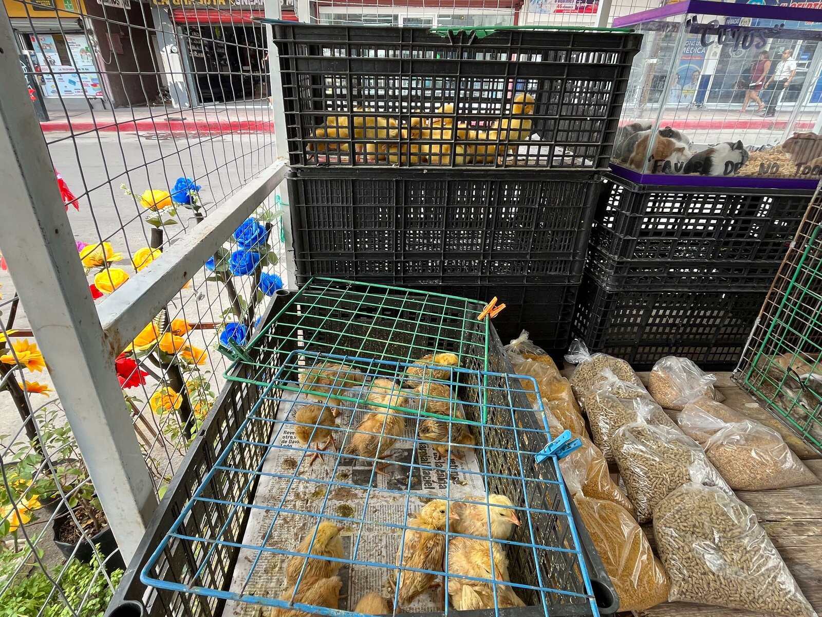 Comercio