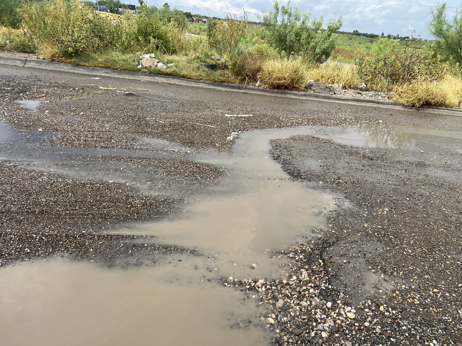 Baches: De acuerdo con los reportes de los vecinos, la vialidad se encuentra plagada de baches y hundimientos que dificultan la vialidad