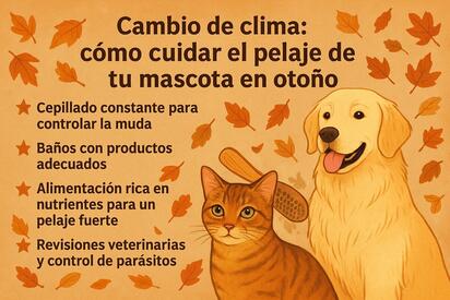 Cambio de clima: cómo cuidar el pelaje de tu mascota en otoño