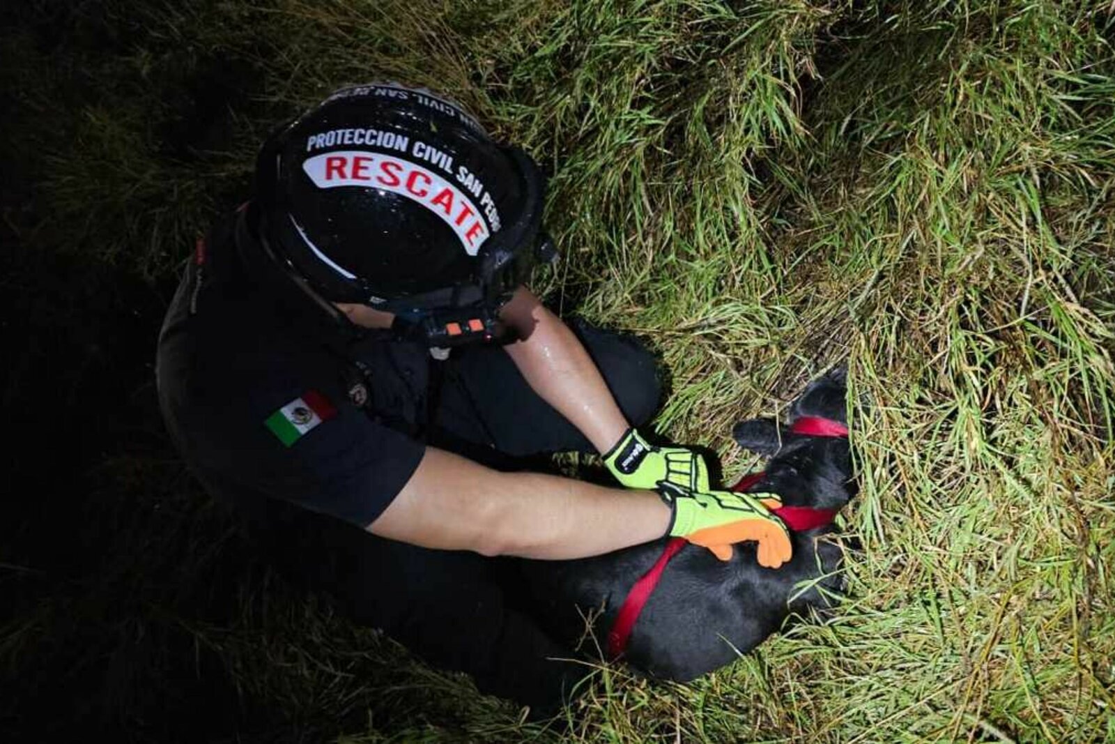 rescate  