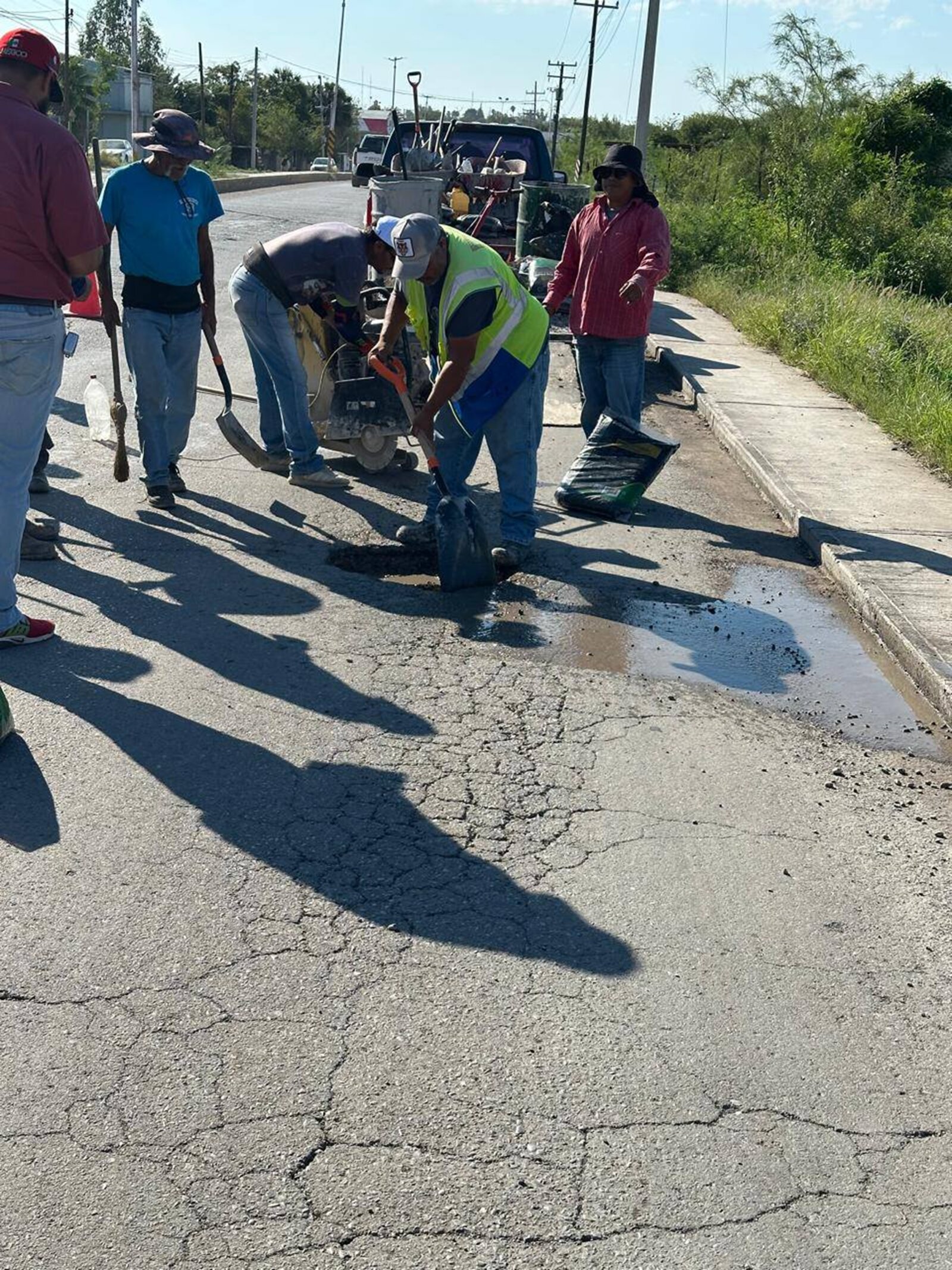 bacheo