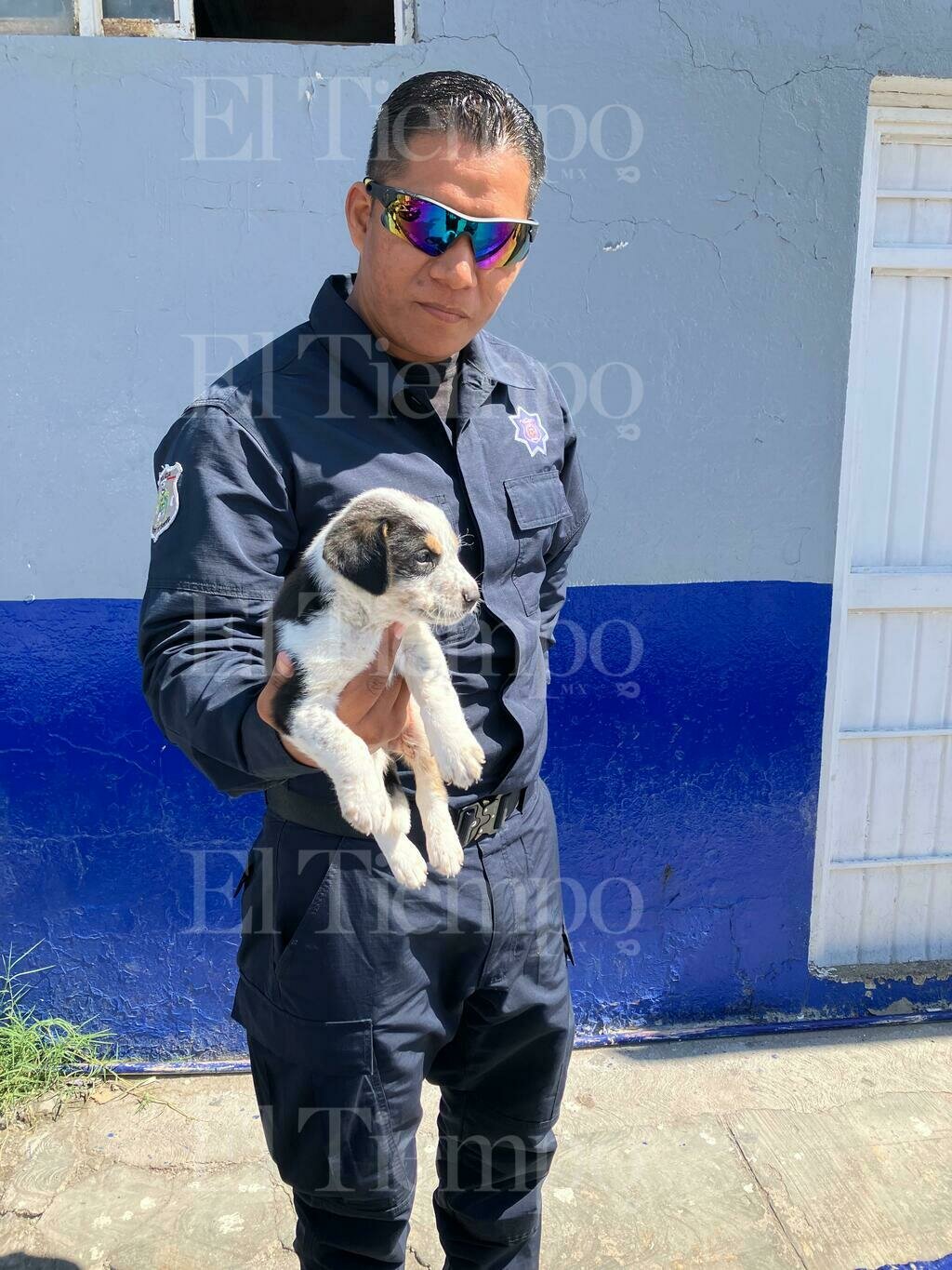 Seguridad