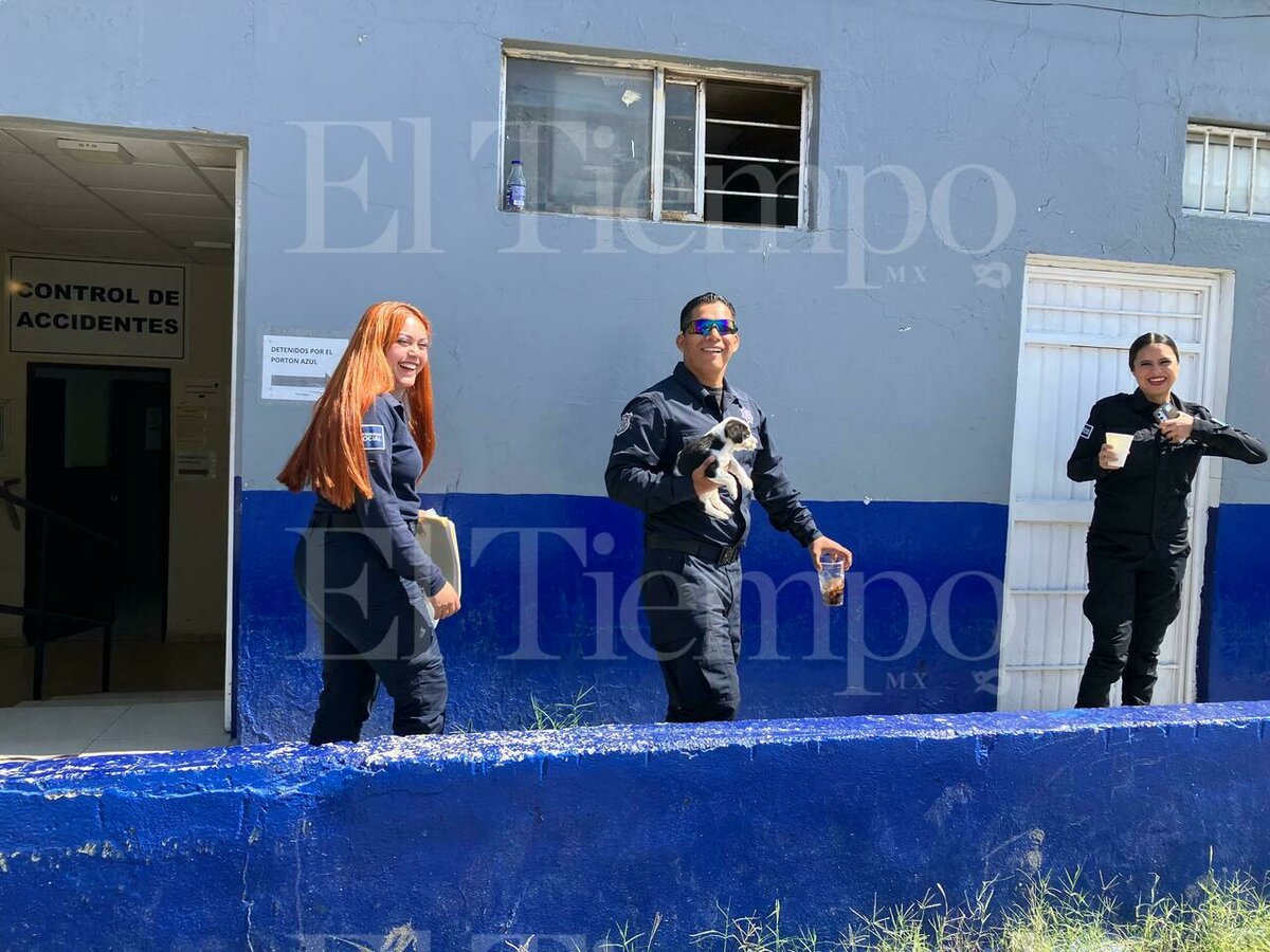 Seguridad