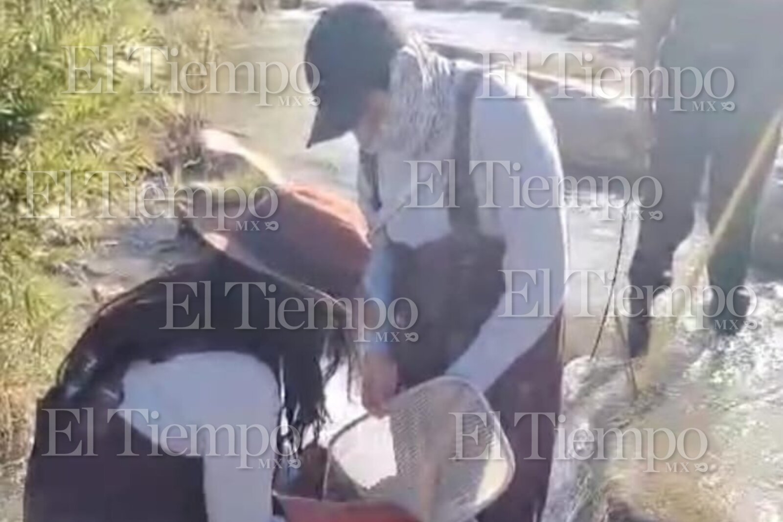 Candela