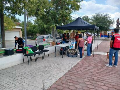 Perritos y gatos buscan un hogar en la miniferia de adopciones en Monclova