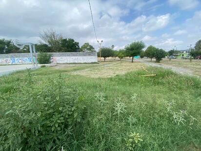 Vecinos de Praderas del Sur solicitan limpieza urgente de plaza pública por maleza y mosquitos