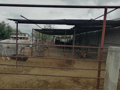 Coahuila moderniza rastros y refuerza el sector ganadero