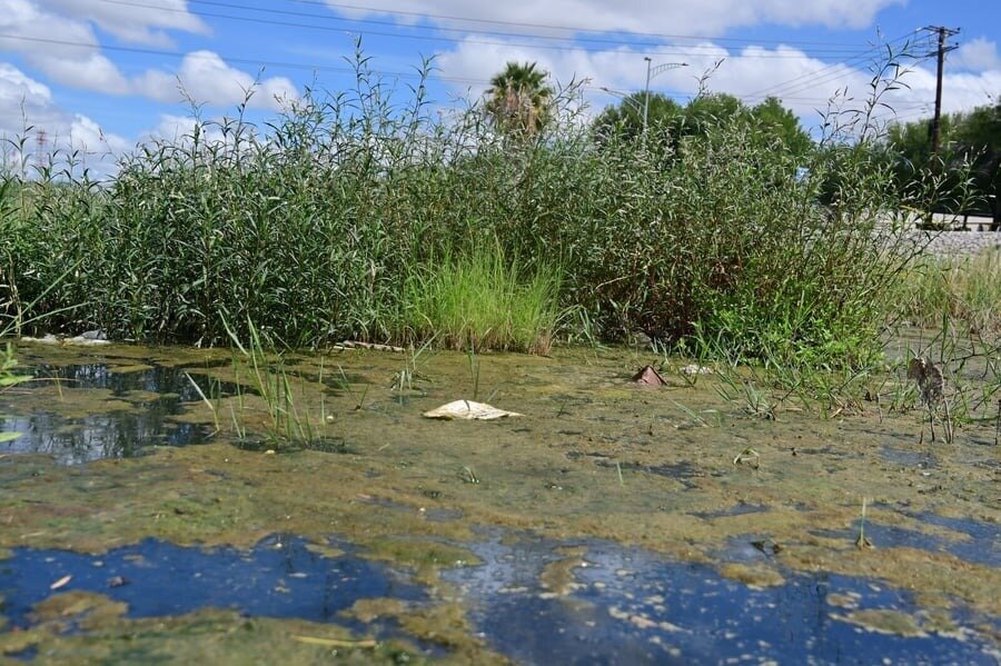 Río Monclova