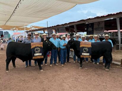 Concurso del Becerro Gordo 2025 impulsa ganadería y economía regional