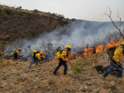 Brigadistas se preparan para combatir incendios forestales en la Región