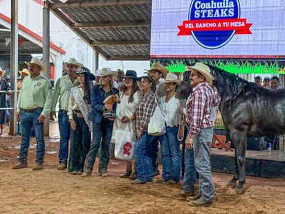 Wiski triunfa como Campeón de Campeones en 26º Concurso del Caballo Cuarto de Milla