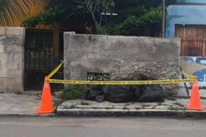 Crueldad animal en Yucatán: 9 perritos envenenados