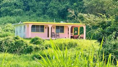 Disparan contra casa usada en video de Bad Bunny en Puerto Rico