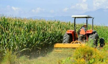 Campesinos podrán financiar maquinaria, ganado e insumos gracias a FIRA