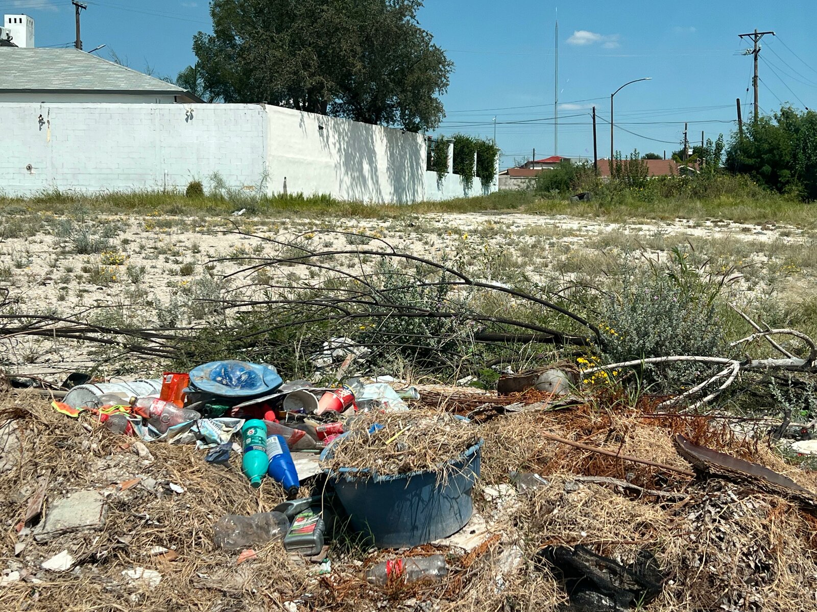Ecología 