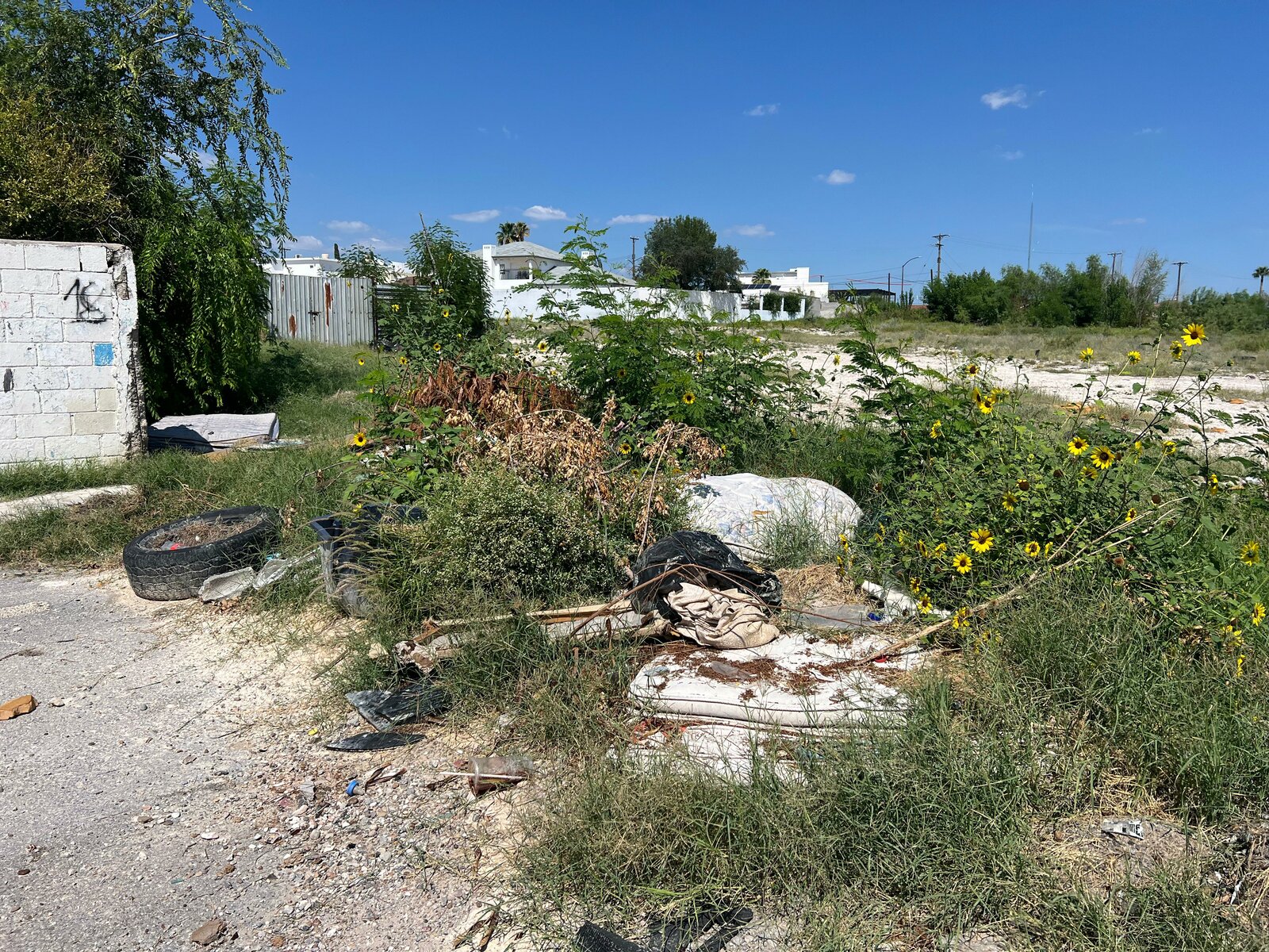 Ecología 