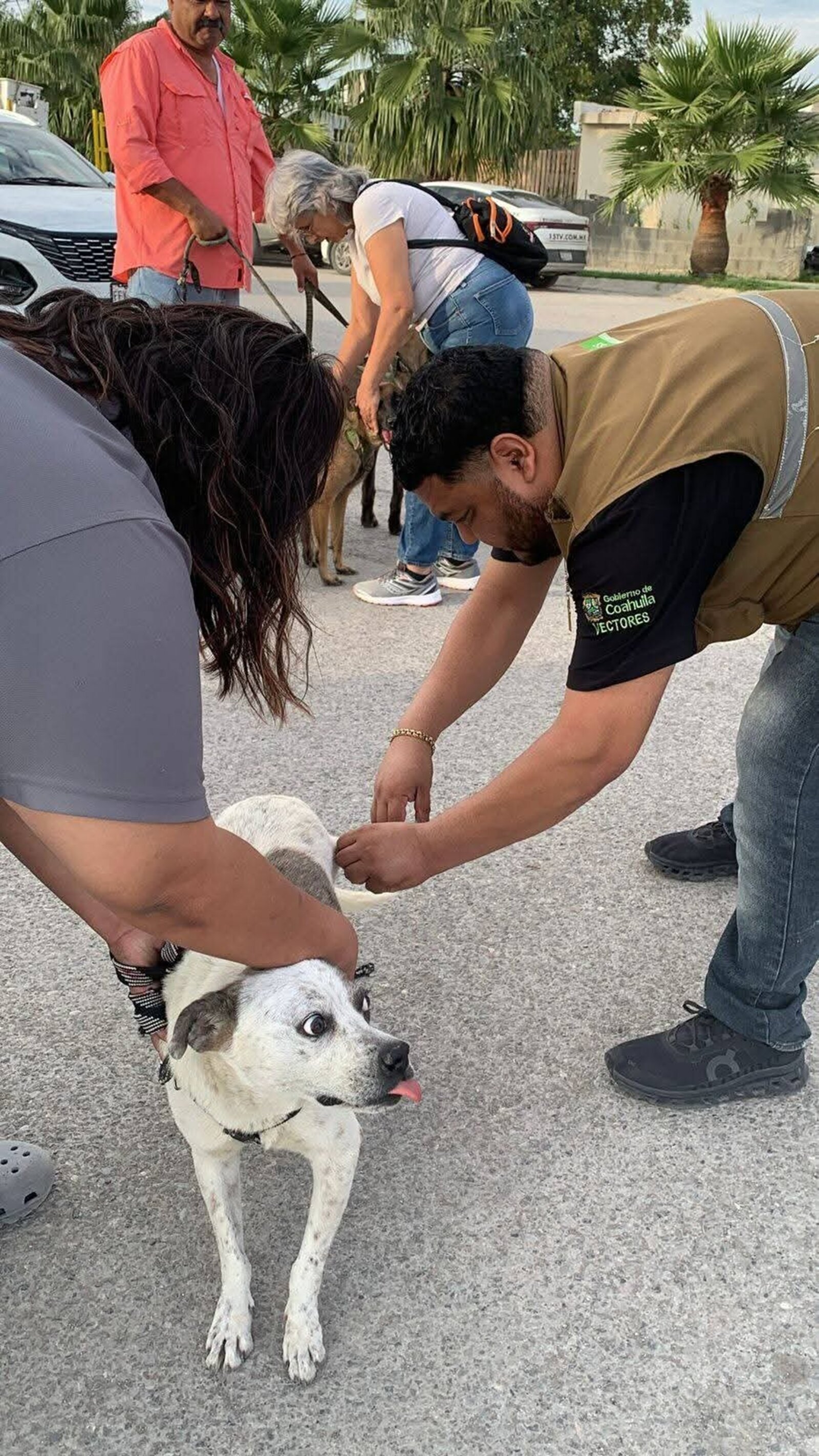 Salud