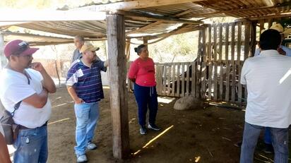 Osos bajan de la sierra y generan temor en Cerro de la Gloria de Monclova