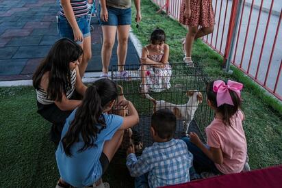 Realizan jornada de adopción de mascotas en Piedras Negras