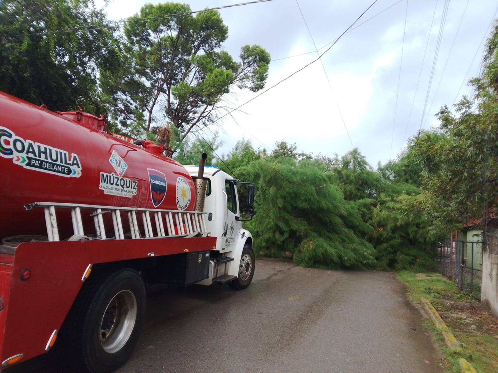 Emergencia