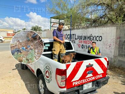 Bomberos y Fundación Milma rescatan a perrita abandonada en arroyo de la Azteca
