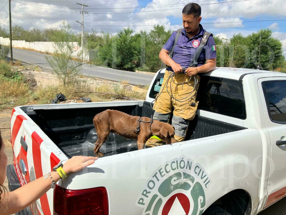 Rescate