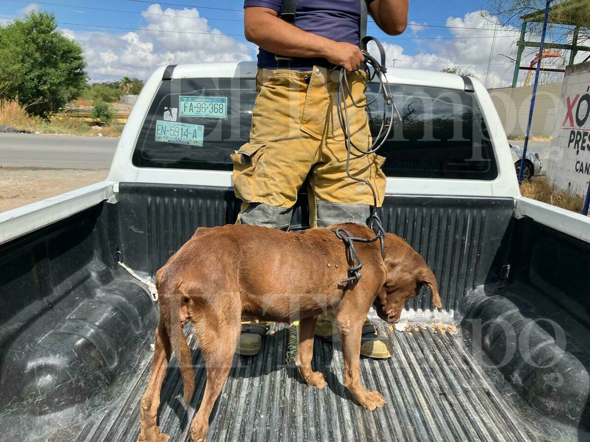 Rescate
