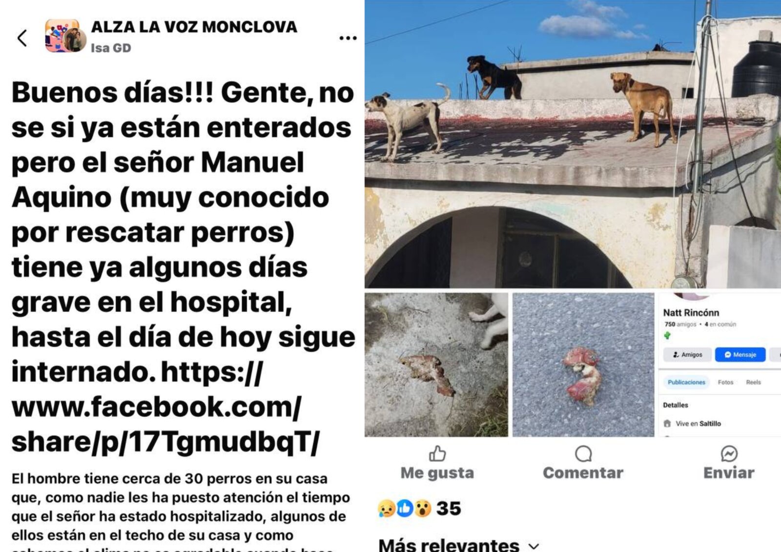 Manuel Aquino desmiente publicación sobre maltrato: Están cuidados y no hay muertes