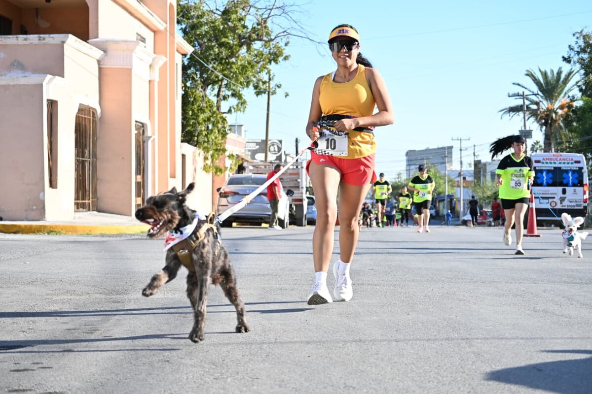 mascotas
