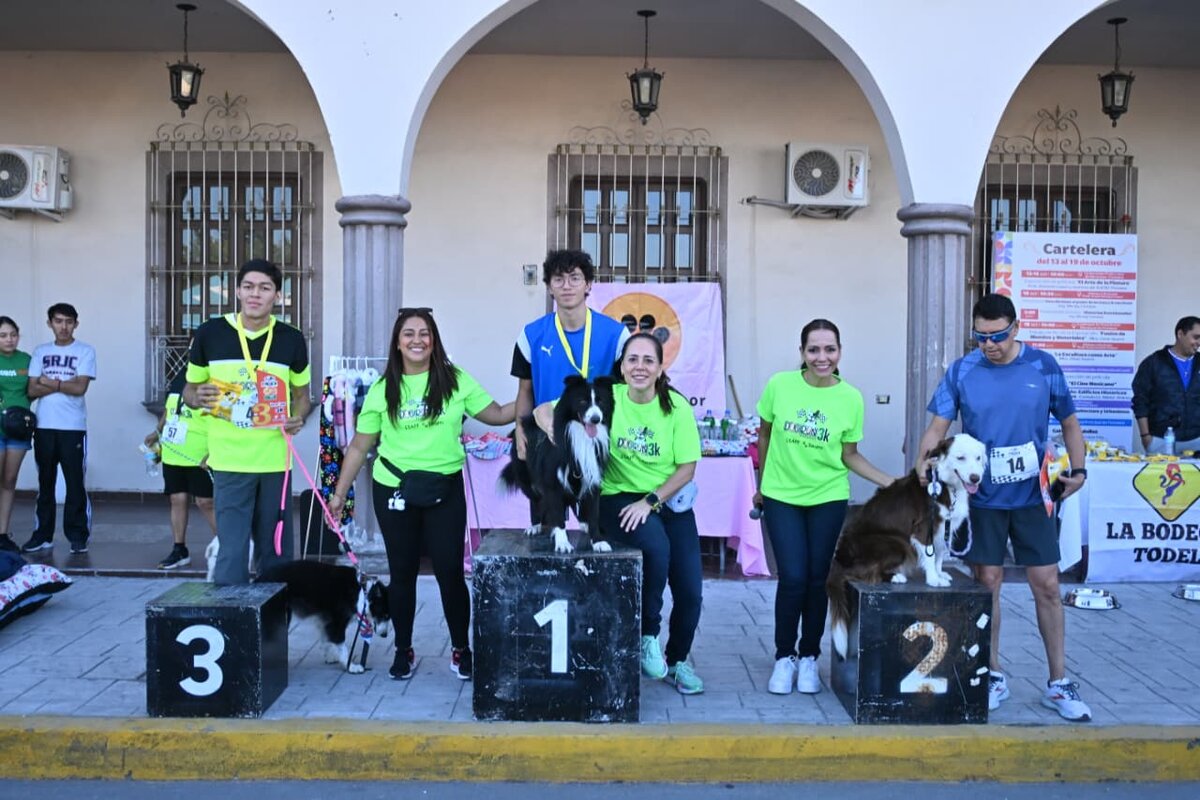 mascotas