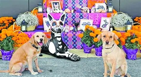 Monclova celebrará el amor por las mascotas con concurso de altares “Patitas Eternas”
