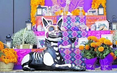 Monclova celebrará el amor por las mascotas con concurso de altares “Patitas Eternas”