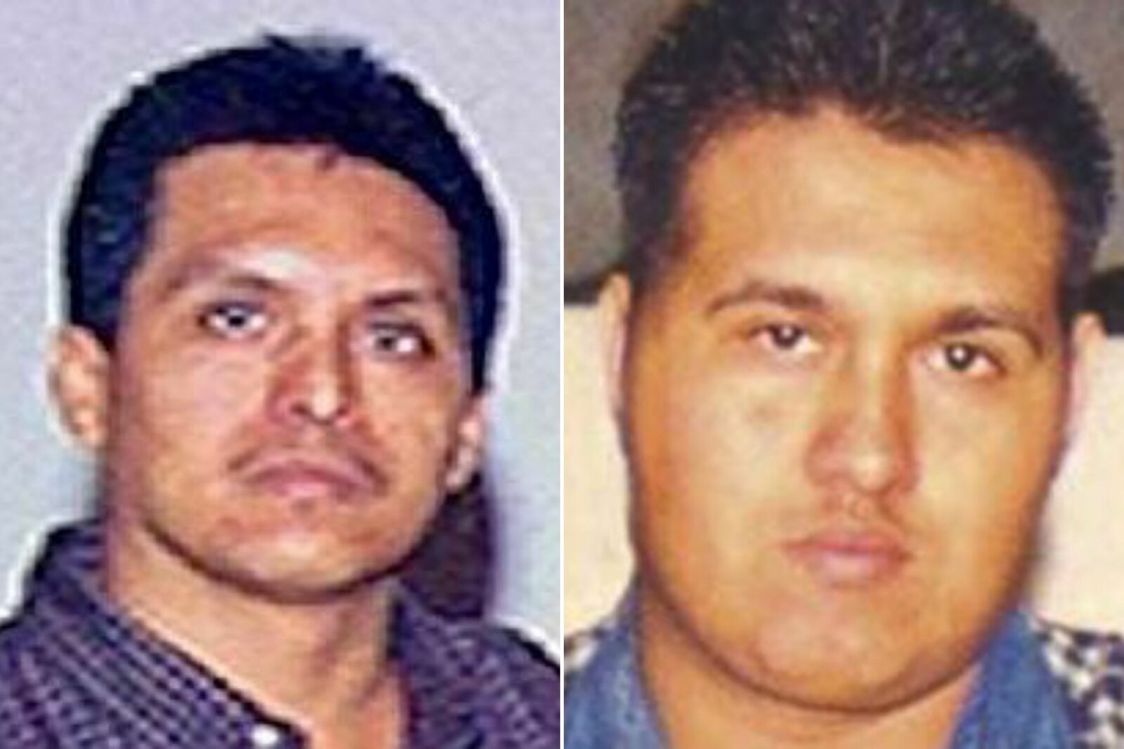 Los Zetas