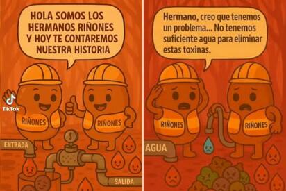 ‘Hermanos riñones’: TikTok viral alerta sobre las consecuencias de no tomar agua