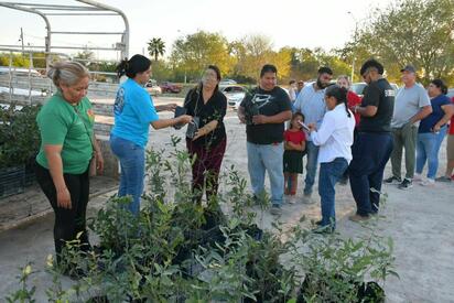 Arranca jornada de donación de árboles en Nava