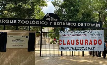 Muerte de jaguar provoca clausura del Zoológico 'La Reina' en Tizimín, Yucatán
