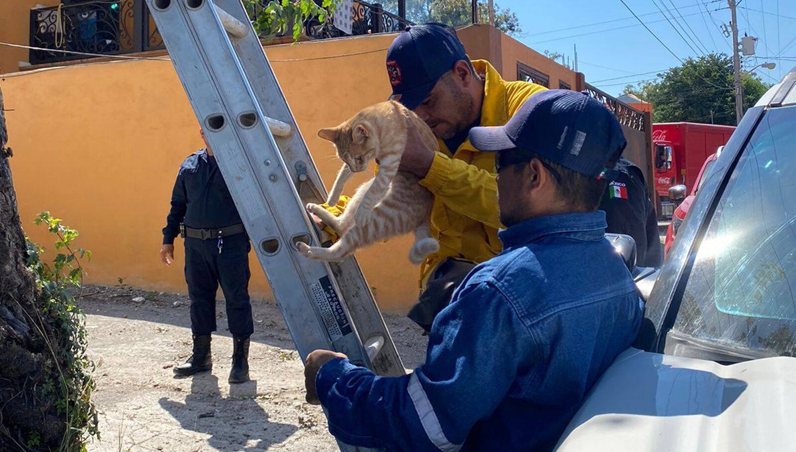 Rescate