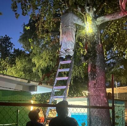Bomberos remueven enjambres de abejas en Villa de Palaú