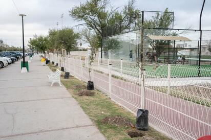 Motherson dona 100 árboles y sistema de riego para fortalecer la ecología en Piedras Negras
