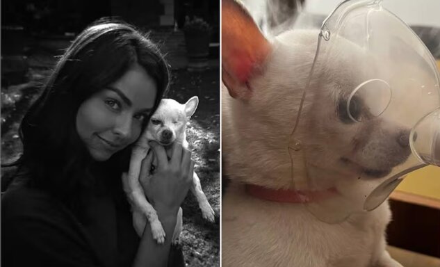 68fd3dfba8d3f.jpg
