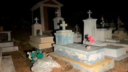 Adopción de gatos negros se frena en Monclova por brujería