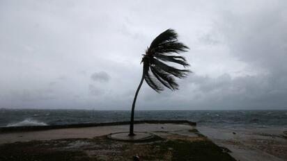 Jamaica es declarada 'zona catastrófica' tras huracán Melissa