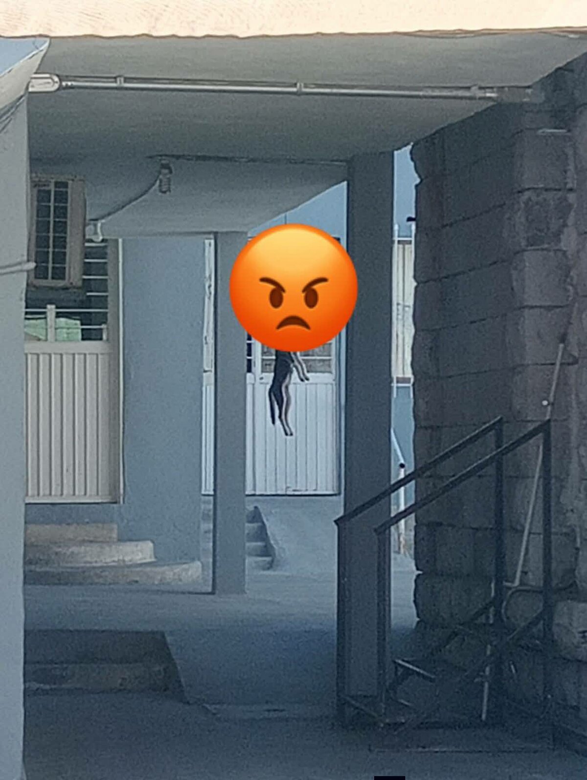 Inicia investigación por muerte de perro hallado colgado en iglesia de Frontera