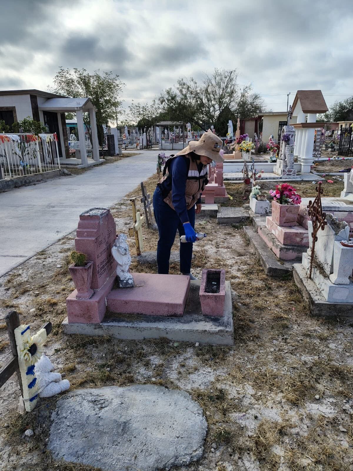690260102d15f.jpg