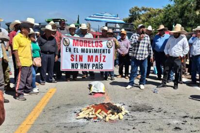 Agricultores de maíz enfrentan pérdidas millonarias, advierte CEM