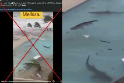 Videos manipulados por IA se viralizan durante el paso del huracán Melissa