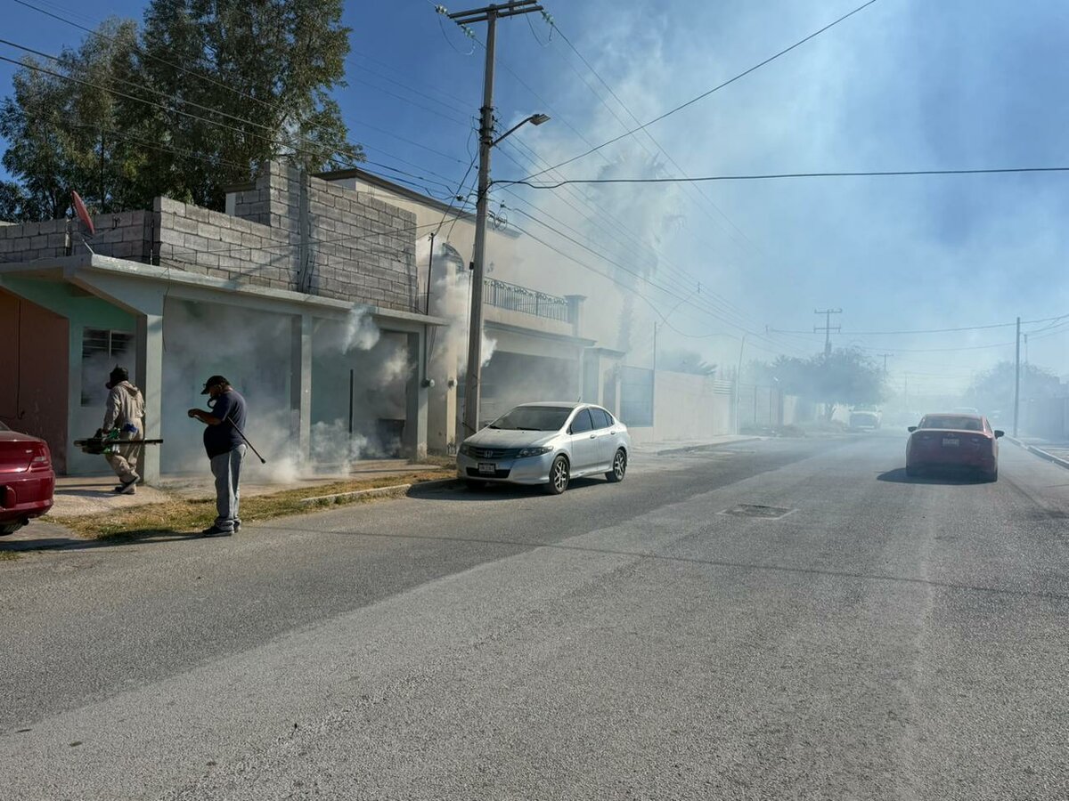 Dengue 