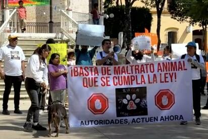 “¡Ni un perrito más!”: Tlaxiaco protesta por el aumento del maltrato animal